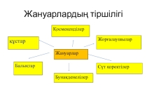 Презентация по Познанию мира на тему Жануарлар тіршілігі (2 А класс)