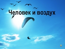 Презентация по технологии на тему Полеты птиц. Попугай