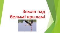 Земля под белыми крыльями