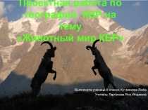 Презентация по географии на тему: Животный мир КБР