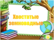 Презентация по биологии на тему: Хвостатые земноводные