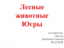 Презентация по окружающему миру