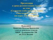 Презентация по русскому языку склонение имён прилагательных единственного числа