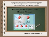 Урок - презентация по биологии на тему Моногибридное скрещивание. 2 Закон Менделя. Его практическое применение (10 класс)