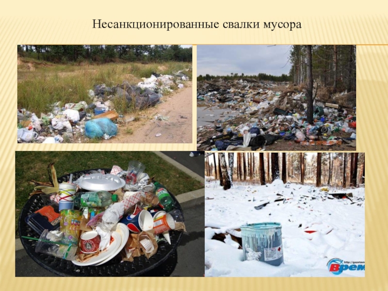 Презентация по биологии на тему Экологическая обстановка в Иркутской области Несанкционированные свалки мусора Несанкционированные свалки мусора
