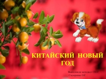 Презентация Китайский Новый год
