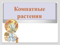Презентация  КОМНАТНЫЕ РАСТЕНИЯ