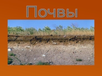 Презентация по географии Почвы