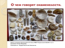Презентация по палеонтологии на тему: О чем говорят окаменелости.