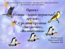 Проектная деятельность Птицы - наши пернатые друзья.