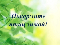Презентация по окружающему миру Покормите птиц зимой