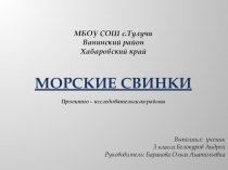 Презентация по окружающему миру Морские свинки