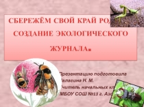 Сохраним свой край родной. Создание экологического журнала