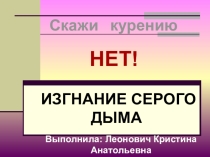 Презентация для проведения классного часа на тему Скажи курению нет