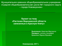 Проект-презентация по географии Растения Воронежской области занесенные в Красную книгу
