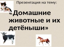 ПРЕЗЕНТАЦИЯ НА ТЕМУ ДОМАШНИЕ ЖИВОТНЫЕ
