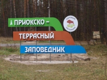 Презентация к занятиям дополнительного образования по экологии ПРиокско - Террасный заповедник