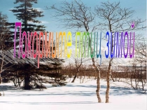 Презентация Покормите птиц зимой
