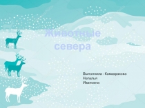 Презентация для дошкольников по окружающему миру Животные севера