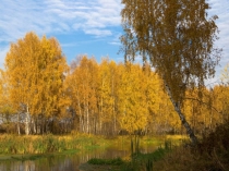 Праздник осени 2-й класс.(Презентация)