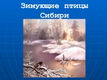 Зимующие птицы Сибири (для дошкольников)