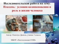 Презентация Плесень: условия возникновения и роль в жизни человека