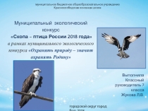 Презентация Скопа-птица года России 2018