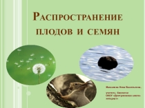 Презентация по биологии Распространение плодов и семян