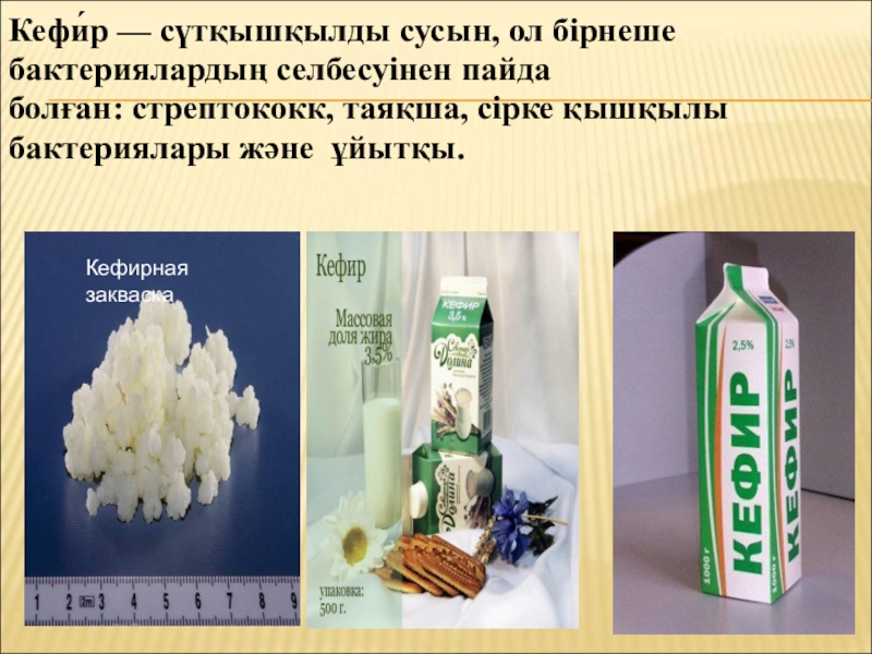Бактериялардың табиғаттағы және адам өміріндегі маңызы Кефи́р — сүтқышқылды сусын, ол бірнеше бактериялардың селбесуінен пайда болған: стрептококк, таяқша, Кефи́р — сүтқышқылды сусын, ол бірнеше бактериялардың селбесуінен пайда болған: стрептококк, таяқша, сірке қышқылы бактериялары және ұйытқы.