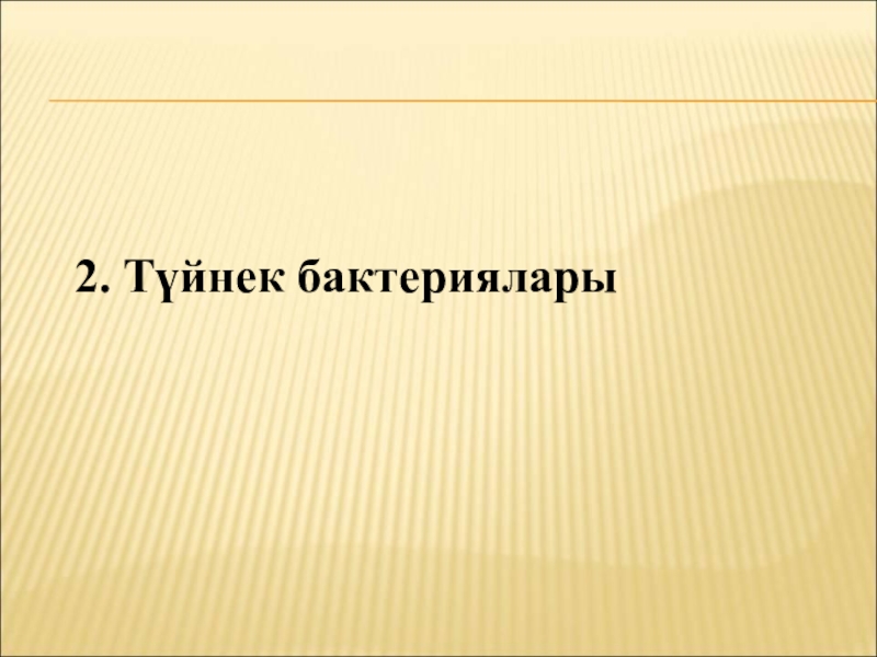 Бактериялардың табиғаттағы және адам өміріндегі маңызы 2. Түйнек бактериялары 2. Түйнек бактериялары