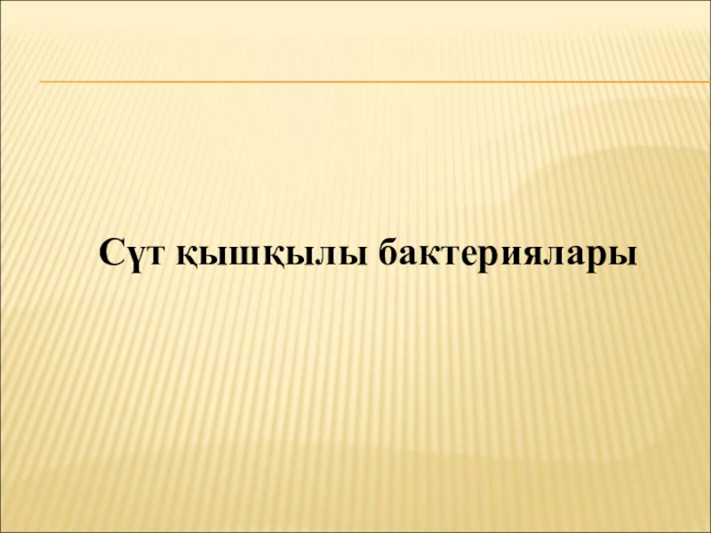 Бактериялардың табиғаттағы және адам өміріндегі маңызы Сүт қышқылы бактериялары Сүт қышқылы бактериялары