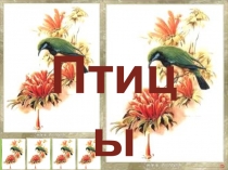 Презентация к уроку по Внеклассному окружающему миру на тему: Юные орнитологи