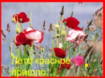 Лето