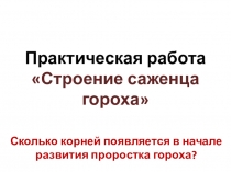 Динамическая презентация для практической работы по окружающему миру Строение саженца гороха