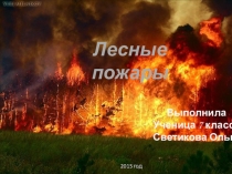 Презентация к классному часу Лесные и торфяные пожары