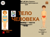 Интерактивный тренажер Тело человека