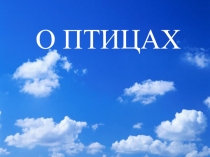 Презентация по окружающему миру О птицах