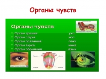 Презентация к уроку по окружающему миру на тему Высуни язык и скажи:А. Органы вкуса 4 класс