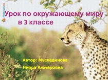 Презентация к уроку Окружающего мира Охрана животных 3 класс