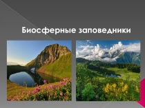 Презентация по географии на тему  Биосферные заповедники
