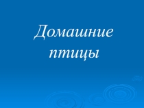 Презентация по биологии Домашние птицы 7 класс