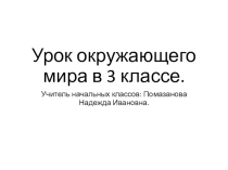 Презентация по окружающему миру Разнообразие растений