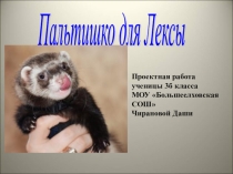 Презентация Пальтишко для Лексы творческий проект