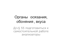Презентация Органы осязания, обоняния , вкуса
