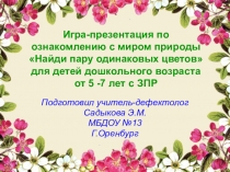 Игра-презентация по ознакомлению с миром природы Найди пару одинаковых цветов для детей дошкольного возраста от 5 -7 лет с ЗПР