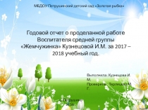 Годовой отчет о проделанной работе
