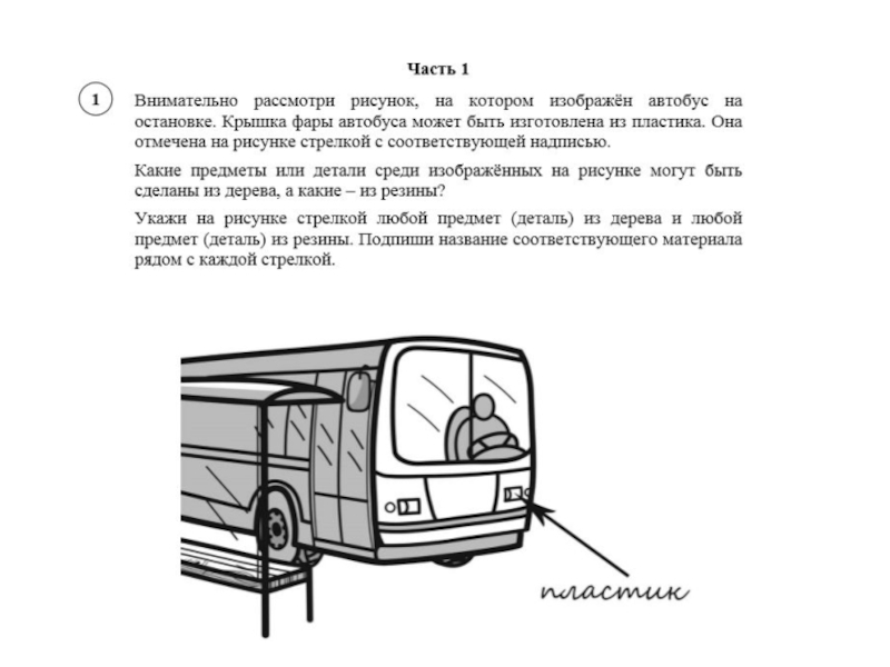 Рассмотрите изображение в чем заключается опасность подобных действий людей впр 7 класс