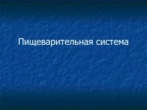 Презентация по биологии на тему  Пищеварительная система 8 класс
