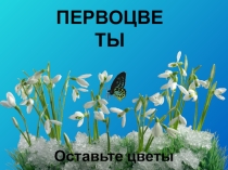Презентация к внеклассному мероприятию по охране природы Первоцветы