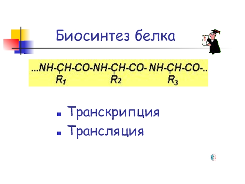 Презентация Белки. Биосинтез белка Биосинтез белкаТранскрипция Трансляция Биосинтез белкаТранскрипция Трансляция